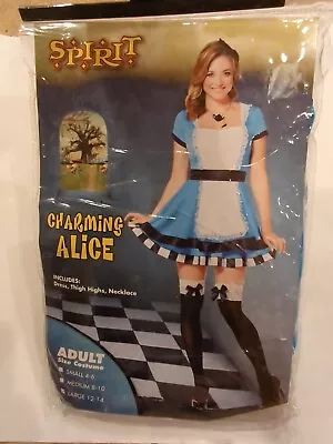 Spirit Womens Charming Alice In Wonderland Halloween Costume Maid Apron Dress Lg • $27.95