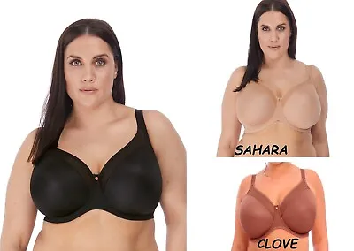 Elomi Smooth-u/w T-shirt Bra--black-sahara-clove-uk Sizes -cs • $46.63