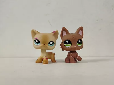 2pcs/lot LPS Toys Littlest Pet Shop Cat Wolf Dog #816#2440 Animal Figures • £7.19