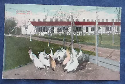 1910s Vineland New Jersey Chicken Farm & Chickens Postcard • $4.99