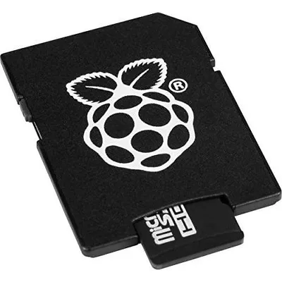 Raspberry Pi 32GB Preloaded (NOOBS) SD Card • $17.68