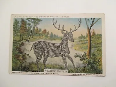 San Antonio Texas Postcard Deer Made From Rattlesnake Rattles Buckhorn Curio  TX • $5.99