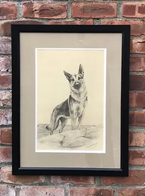 C1940’s Original Signed Drawing Of German Shepherd Dog By Marguerite Kirmse • $1125