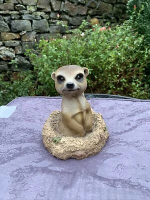 £12.99 • Buy Lovely Meerkat Ornament