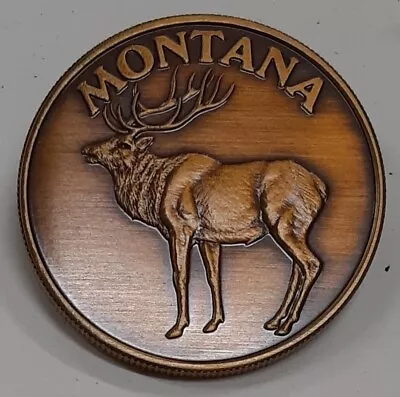 1889-1989 Montana Statehood Centennial Bronze Medal  UNC • $12.50