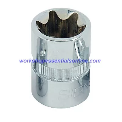 E20 Torx Socket 1/2  Drive Signet S23620 • $9.79