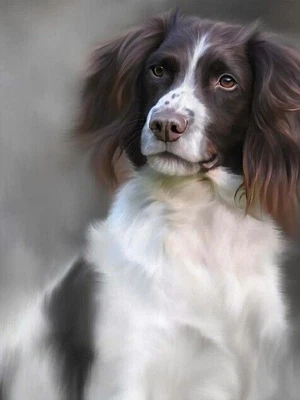 £129 • Buy Nigel Hemming ENGLISH SPRINGER SPANIEL Print,  Art Canine Ltd Edition  #1