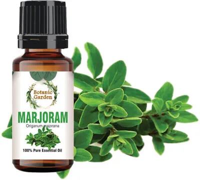 Marjoram Or Origanum Majorana Essential Oil For Bruises And Cuts 100% Pure Oil • $365.70