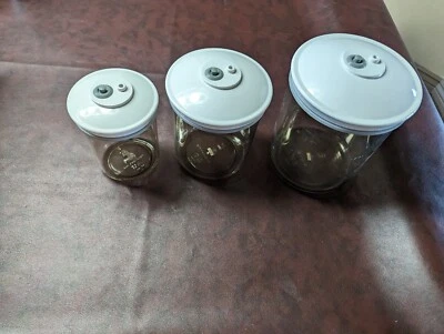$37.99 • Buy Lot Of 3 FOODSAVER VACUUM SNAIL CONTAINER CANISTER 80/50/25 OZ CLEAR