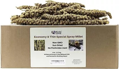 Birds LOVE Economy & Thin Special Spray Millet - Natural Bird Treat GMO-Free 5lb • $52.99