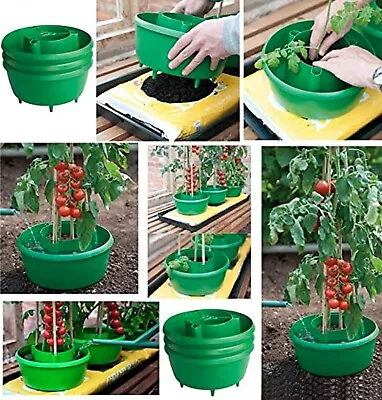 Tomato Plant Halos Pot Grow Bag Watering Plastic Round Halos Grow Tomatos Seed • £4.30