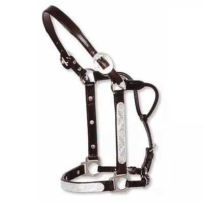 0419-0000 Circle Y Show Halter Dark Oil Antique Engraved Yearling Size NEW • $290.99