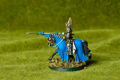 £20 • Buy Lord Of The Rings LOTR Dol Amroth Swan Knight  #4 Metal Pro Painted And Based