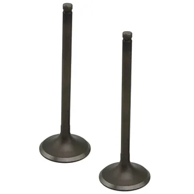 2Pcs Intake Valves For Honda CRF250R CRF250L 04-09 CRF250X 04-17 14711-KRN-670 • $39.99