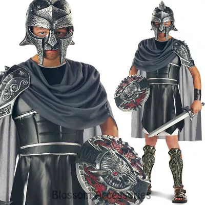 CK96 Gladiator Child Roman Warrior Medieval Halloween Boys Book Week Costume • $65.75