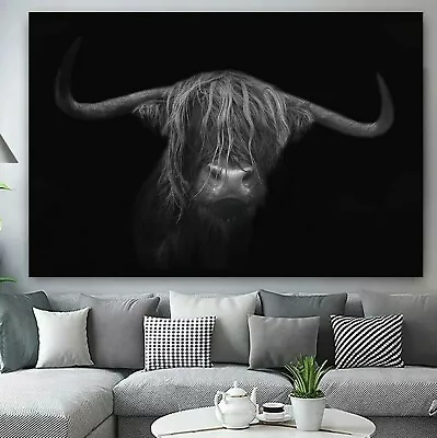 Gorgeous Highland Cow Black White FRAMED CANVAS WALL ART PICTURE Or PAPER PRINT • £7.99