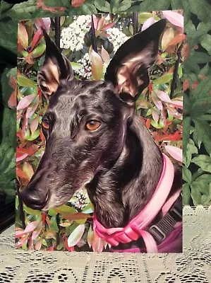 £2.65 • Buy Greyhound , Lurcher, Sighthound , Whippet, Dog Greetings Card