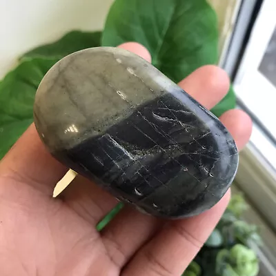 Kambaba Jasper Crystal Gallet Stone Polished 124g - 6.5cm • £12.01