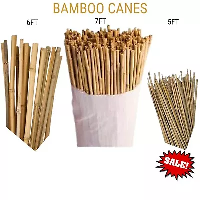 Bamboo Canes Garden Thick Quality Heavy Duty Stake Plant Veg Support Pole • £14.99