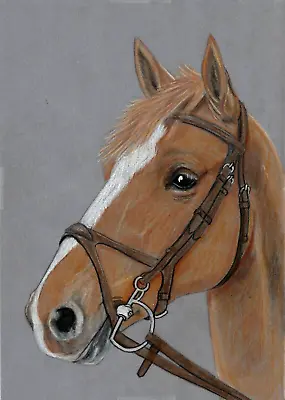 Original Colored Pencil Artwork Art Picture Eager Young Chestnut Horse • £11.09