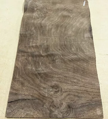 Walnut Burl Wood Veneer 9  X 15  Raw No Backing 1/42  Thickness A Grade Sheet • $32.50