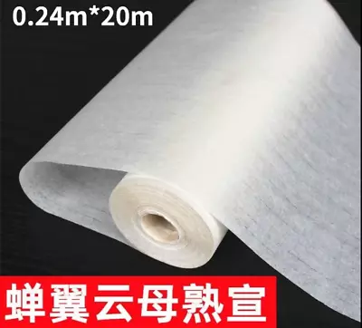 Ripe Xuan Paper Long Roll White Translucent Papier Chinese Calligraphy Brush Pen • $22.94