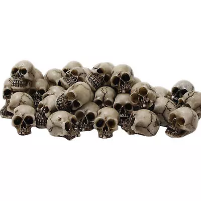 20pcs Mini Skulls Set Mini Skull Heads Garden Decorations Skeleton Garden Potted • $12.57