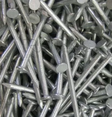  6  150mm GALVANISED Round Wire Nails FENCE JOINERY NAILS OUTDOOR CLEARANCE!! • £6.94