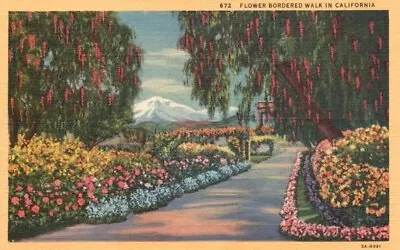 Vtg Postcard Flower Bordered Walk With Mountain View In CA Unposted • $1.40