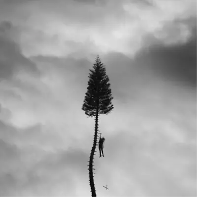 Manchester Orchestra A Black Mile To The Surface (Vinyl) (UK IMPORT) • $59.53