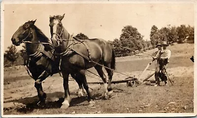 VELOX Real Photo Postcard RPPC Farmer Plowing With 2 Horse-Drawn Plow ~1910 M39 • $6.21