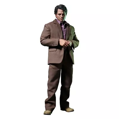 Movie Masterpiece Avengers Bruce Banner Limited Edition Action Figure Hot Toys • $224