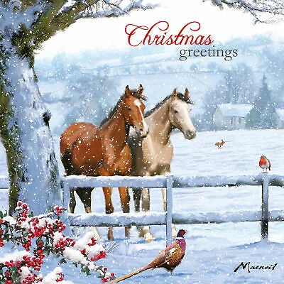 Charity Christmas Card Pack - Christmas Horses • £6.98