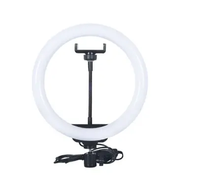 10inch USB Selfie Ring Light Cellphone Shooting Clamp Fill Light Led Ring Lamp  • $14.95