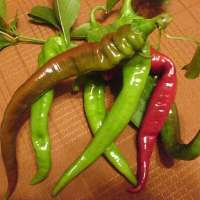 25 SEEDS Italian Long Hots Pepper Garden Vegetables Planting Edible Food • $3.66