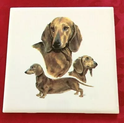 Tile Trivet Dachshunds Doxies New Handmade Ceramic Porcelain 6  X 6  Kiln Fired • $10.95