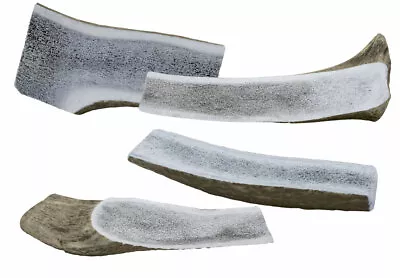 £5.99 • Buy HALF  ANTLER DOG CHEWS Choose Size Natural Long Lasting Calcium Treat Bones
