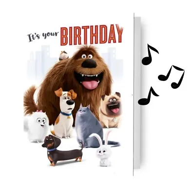 Birthday Card The Secret Life Of Pets Musical Sound Card Includes Envelope • £4.50