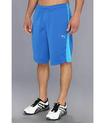 PUMA NWT 10-inch Form Stripe Short - Large 32 Inch Waist • $9