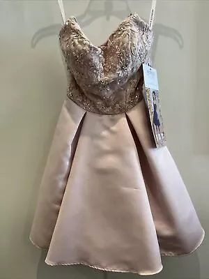 MORI Lee Madeline Gardner Prom Dress Size 2 Pink Style 9504 Beaded Satin NWT • $92.37