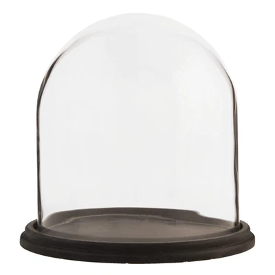£47.99 • Buy Glass Display Cloche Bell Jar Dome Flower Preservation Vase Wooden Base 22cm