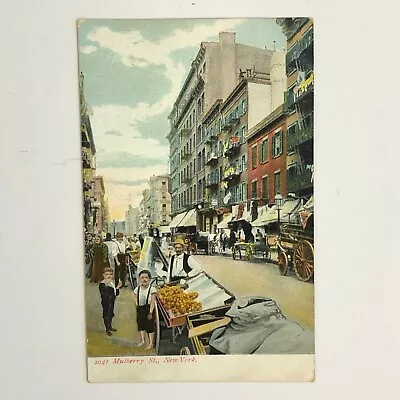 Mulberry Street New York  1901-1907 Street View People Horses Carriages • $7