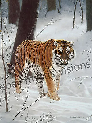 Charles Frace SIBERIAN TIGER  CANVAS Art • $39.99