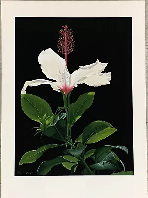 Brian Davis “Hibiscus” Hand Signed Serigraph Limited Edition • $349