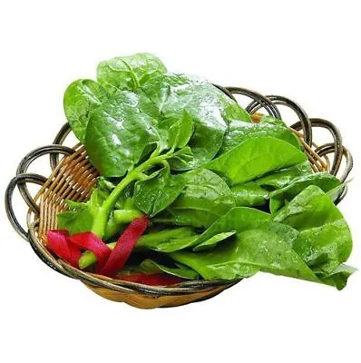 Organic 200 Seeds Malabar Spinach Seed Vine Spinach Seed Basella Rubra  • $2.43