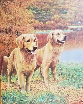 £197.85 • Buy YELLOW LABRADORS - FALL GUYS  Oil-on-Canvas Giclée By NIGEL HEMMING (1957- UK), 