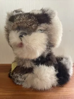 Vintage Fluffy Bobble Head Cat Kitten 1960s • $20