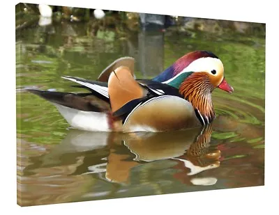 Mandarin Duck Canvas Picture Print Wall Art Chunky Frame Large  • £39.77