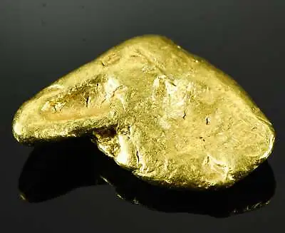 $2311.55 • Buy #541 Large Alaskan BC Gold Nugget 23.53 Grams Genuine