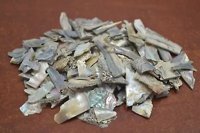 5000 Pcs Small Mix Abalone Shell Scrap Blanks Inlay Material 1lb #6018 • $20